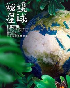 年味更浓!宁波这家景区免门票半个月,还能逛龙年国潮年货节